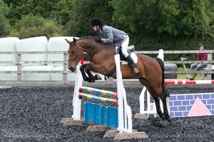 Class 7 - Fences 3' to 3'3